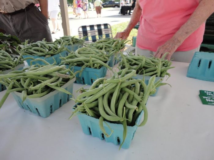 Fresh green beans from a farmers market