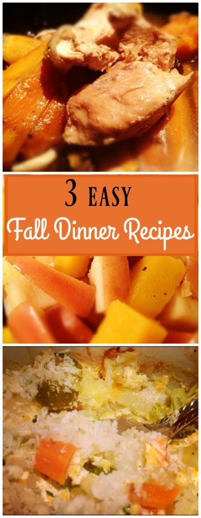 3 easy fall dinner recipes!  A slow cooker chicken stew recipe, a simple turkey sausage skillet meal, and healthy fall vegetable gratin recipe.