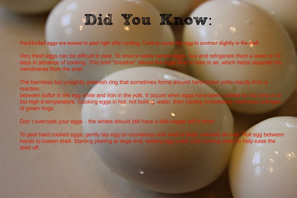 Hard boiled egg safety #OhioEggRoll