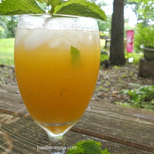 Fresh Peach Mojitos - Get the recipe for this delicious Summer cocktail from basilmomma.com