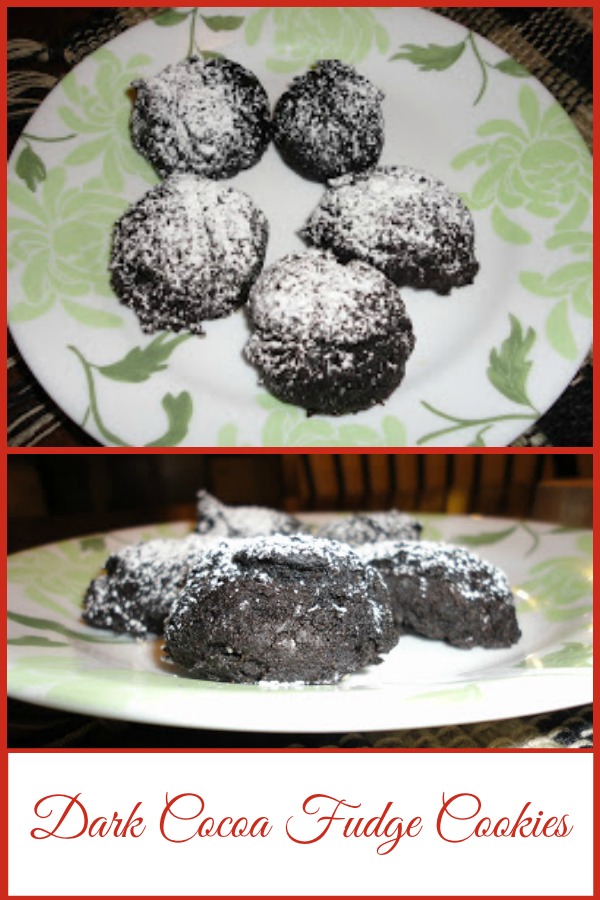 dark-cocoa-fudge-cookies-basilmomma