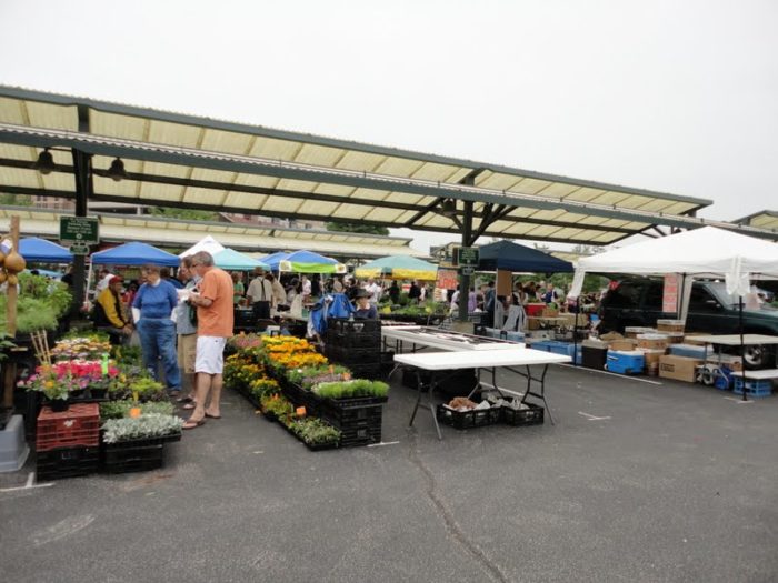Farmers market in Bloomington, Indiana