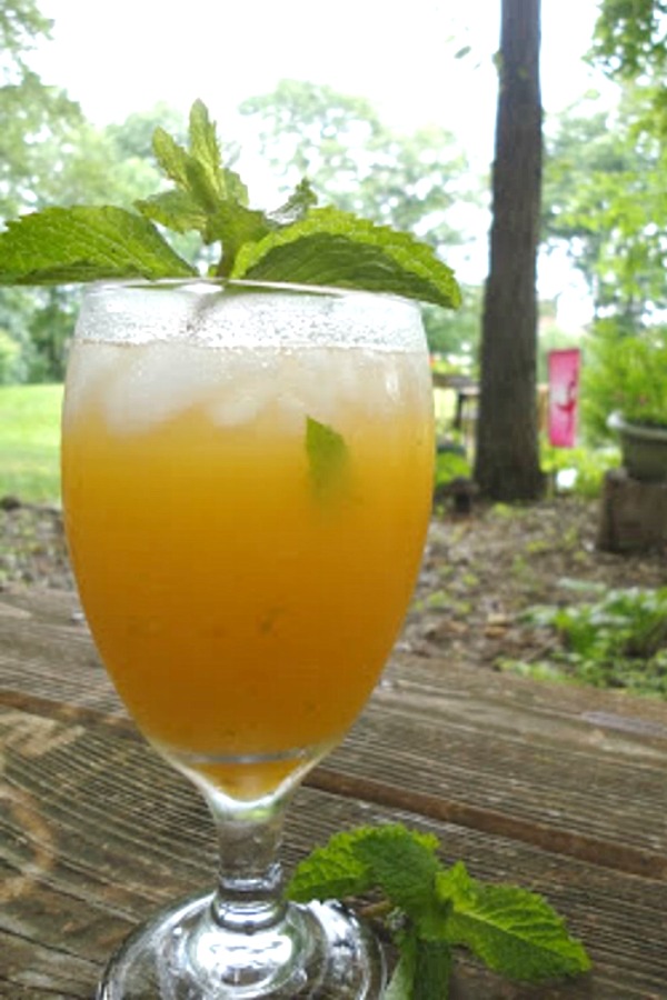 Fresh Peach Mojitos - Get the recipe for this delicious Summer cocktail from basilmomma.com