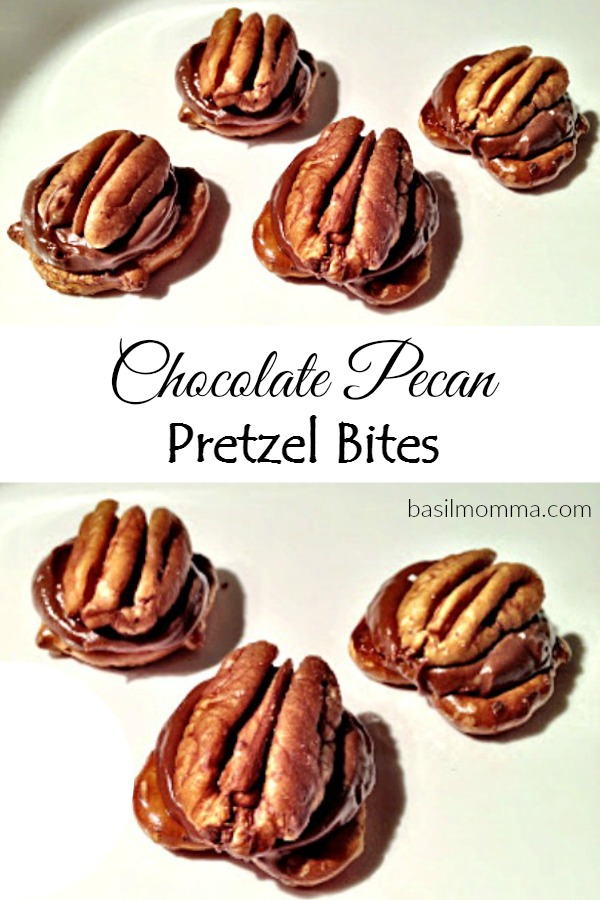 Chocolate Pecan Pretzel Bites - An easy holiday dessert that's perfect for gift giving.