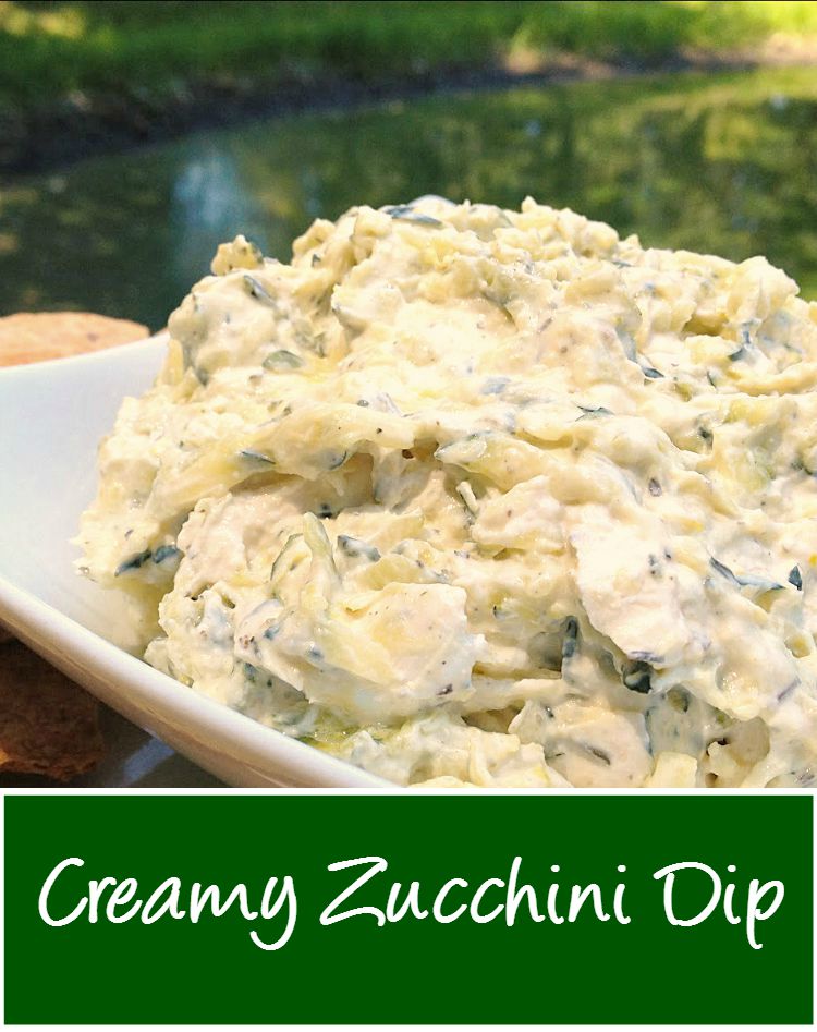 Easy Zucchini Dip from @basilmomma (www.basilmomma.com) - This creamy cold dip is a great way to use up lots of zucchini or yellow squash from your garden. It's great as a sandwich spread, too!