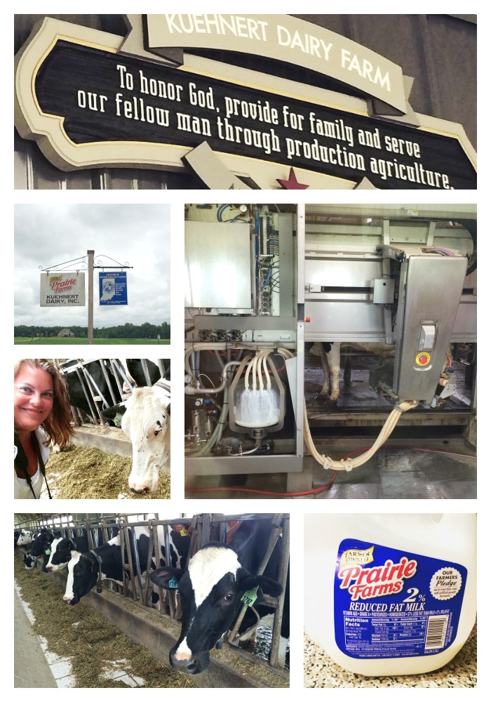 A Day at Prairie Farms and Kuehnert Dairy 