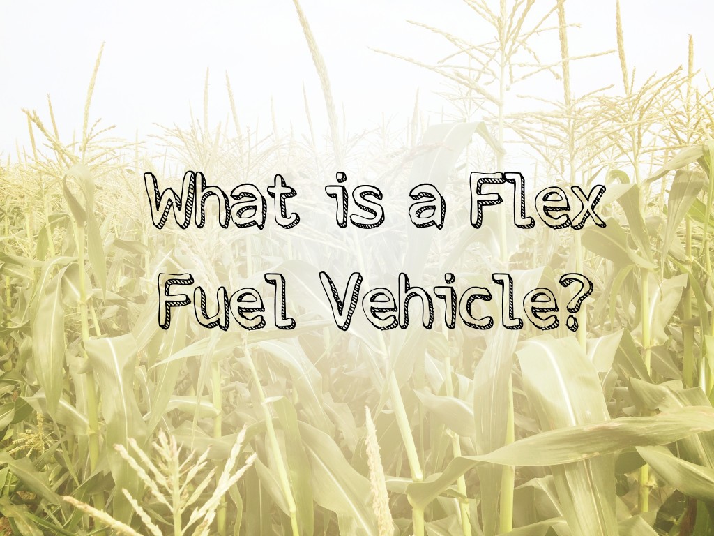 What is a Flex Fuel Vehicle?