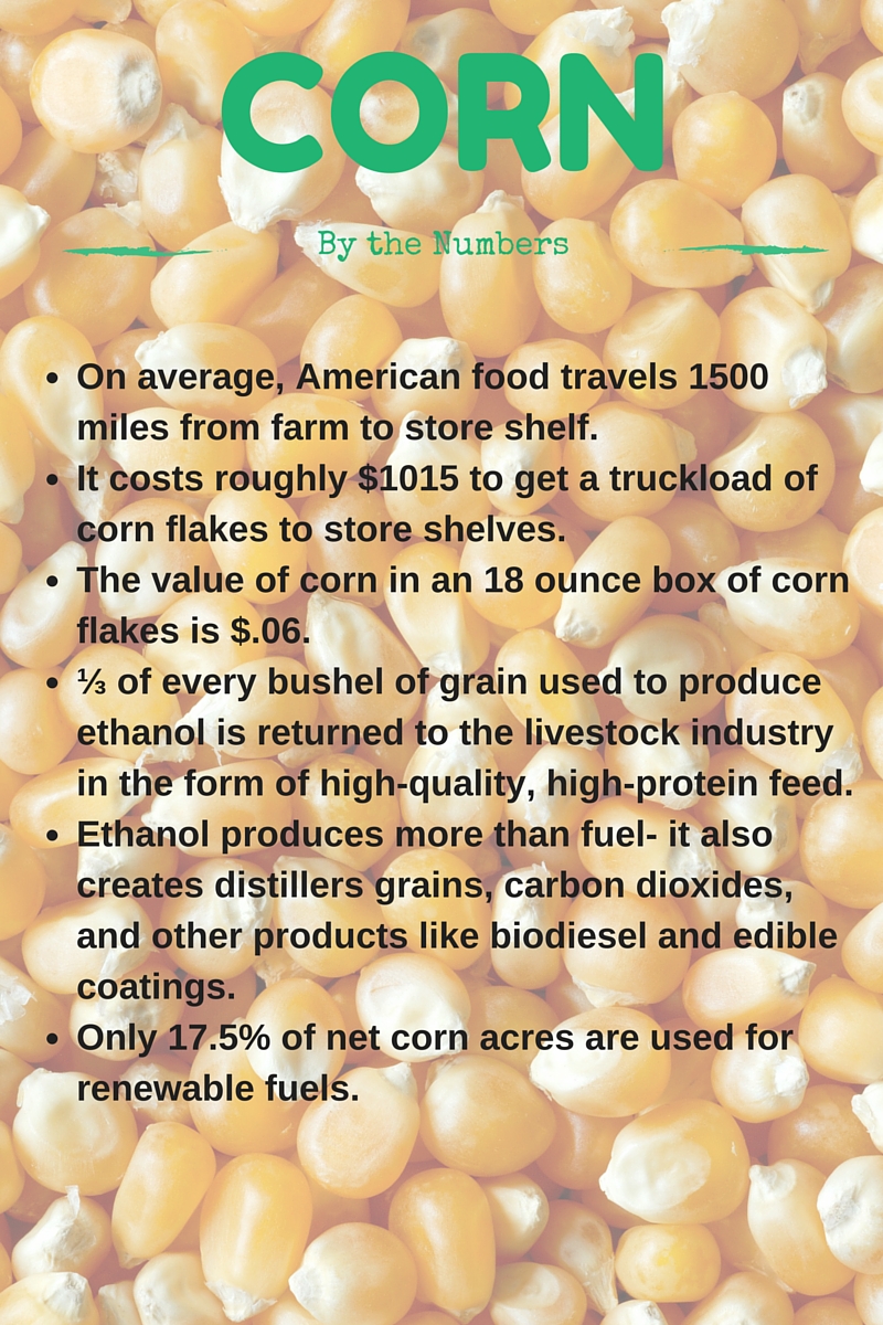 American Ethanol by the Numbers