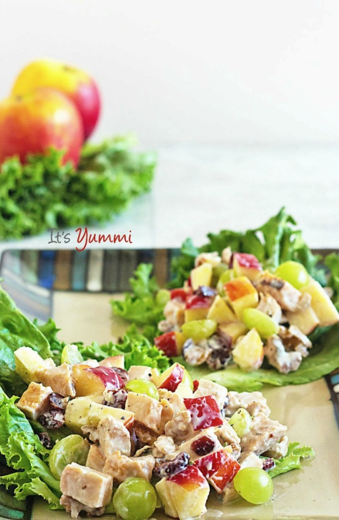 This healthy chicken Waldorf salad is one of our favorite dinner salads! Tender chicken breast, fresh and dried fruits, and nuts are tossed with a healthy, low fat, no-sugar-added yogurt dressing. 