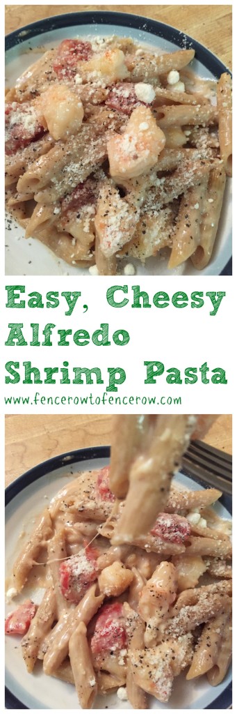 Cheesy Shrimp Alfredo Pasta - Get the recipe on basilmomma.com