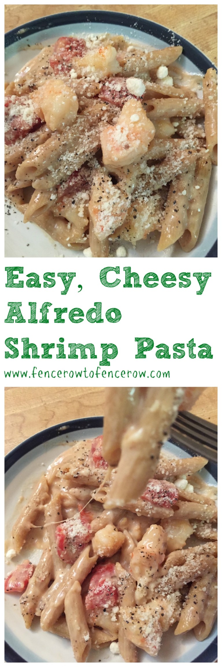 Cheesy Shrimp Alfredo Pasta {Guest Post} - Basilmomma