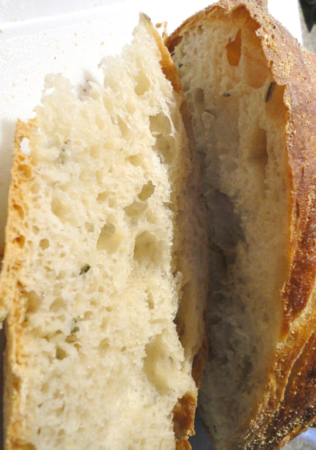 The best no-knead bread recipe ever! Homemade Rosemary Lemon Bread - No kneading necessary! 