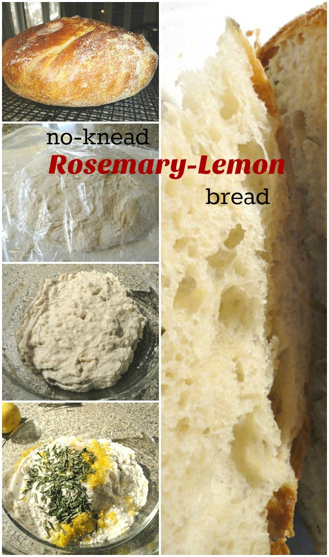 The best no-knead bread recipe ever! Homemade Rosemary Lemon Bread - No kneading necessary! 